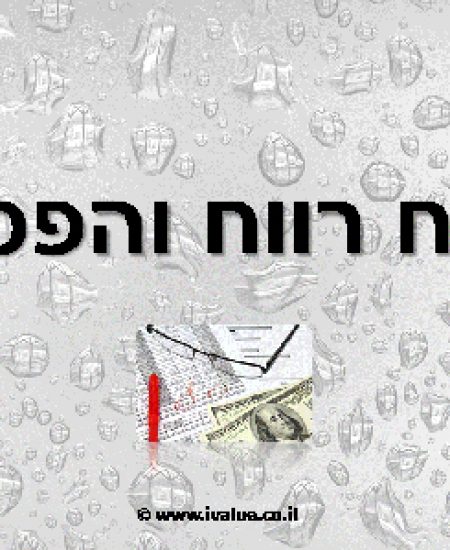 דוח רווח והפסד – מצגת להורדה